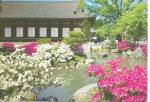 Japan  Sanjusangendo Hall Gardens cs8684