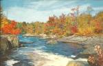 Autumn River Scene large postcard lp0694