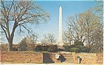 Grave of Mary Washington Postcard p0641