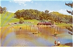 Schenk Lake  Wheeling WV Postcard p0974