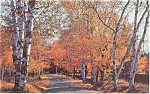 Golden Woodland Drive Morrisville PA  Postcard p1024