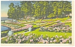 Hershey PA Hershey Rose Garden Postcard p10908