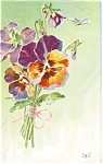 Pansies Postcard p11944  1908