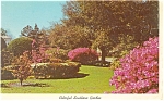 Colorful Southern Garden Postcard p12442 1969