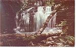 Wyandot  Falls PA Postcard p12706