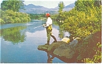 Trout Fishing Ausable River Postcard p13379 1967