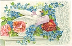 Birthday Greetings Dove Postcard p13570 ca 1909