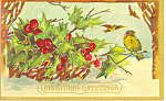 Christmas Postcard Holly Berries p13941