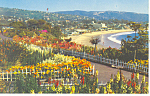 Laguna Beach CA Postcard p14874