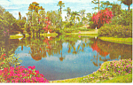 Cypress Gardens  FL Reflection Pool Postcard p14906