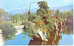 Bridge of Flowers Shelburne Falls MA Postcard p15164