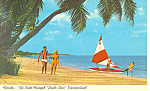 Click here to enlarge image and see more about item p16458: Beach Scene  Palm Trees FL Postcard p16458