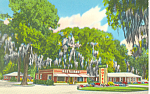 Mossy Oaks Motel  Eulonia Georgia Postcard p16789