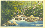 Trout Stream Caledonia PA Postcard p16845