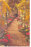 Longwood Gardens Kennett Square PA Postcard p17726