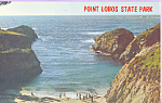 China Cove Point Lobos State Park California p22372