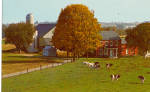 Amish Country Farm Postcard p28810