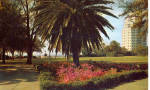 Memorial Park Jacksonville Florida p29805