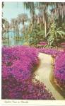 Cypress Gardens Florida Azalea Lane p32061