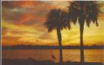 Florida Sunset Over Water Palms p32916