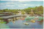 Click here to enlarge image and see more about item p33328: Glass Bottom Boats at Silver Springs FL p33328