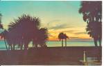  Sunsets like this Make Florida Beautiful p33356