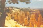 Bryce Canyon National Park UT postcard p33567