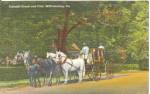 Click here to enlarge image and see more about item p33671: Williamsburg VA  Colonial Coach and Four Postcard p33671