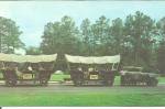 Click to view larger image of White Springs FL Conestoga Wagon Train p34213 (Image1)