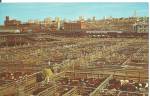 Kansas City MO Stockyards postcard p36234