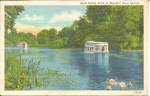 Silver Springs FL Glass Bottom Boats postcard p36484
