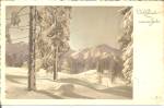 Click to view larger image of German New Years Card Mountain Scene p37313 (Image1)
