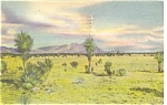 Sunset on the Desert  Postcard p3846 Linen