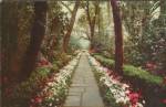 Mobile Alabama Bellingrath Gardens Flowers on Path Postcard P40370