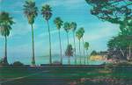 Santa Barbara Cailfornia Channel Drive Postcard P41135