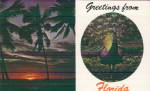 Greetings from Florida Sunset and Peacock Postcard P41226