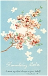 Sunay School Postcard p4517 1960