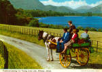 Traditional Jaunting Cart Killarney Ireland cs5270