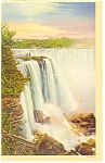 Horseshoe Falls View From Goat Island Postcard p8361