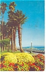Santa Monica CA Palisades Park  Postcard p8867