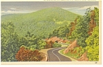 Skyline Drive VA Near Panorama Postcard p9835 1954