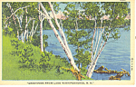 Birches Lake Winnipesaukee NH Postcard w0835 1950