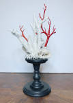 Click to view larger image of Baroque Style Natural Shell & Faux Coral Arrangements - (Image3)